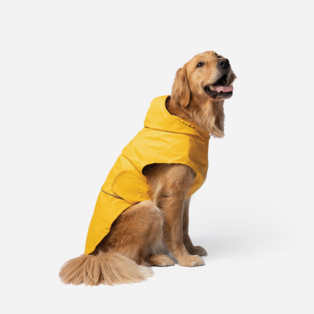 Raincoat for golden retriever best sale