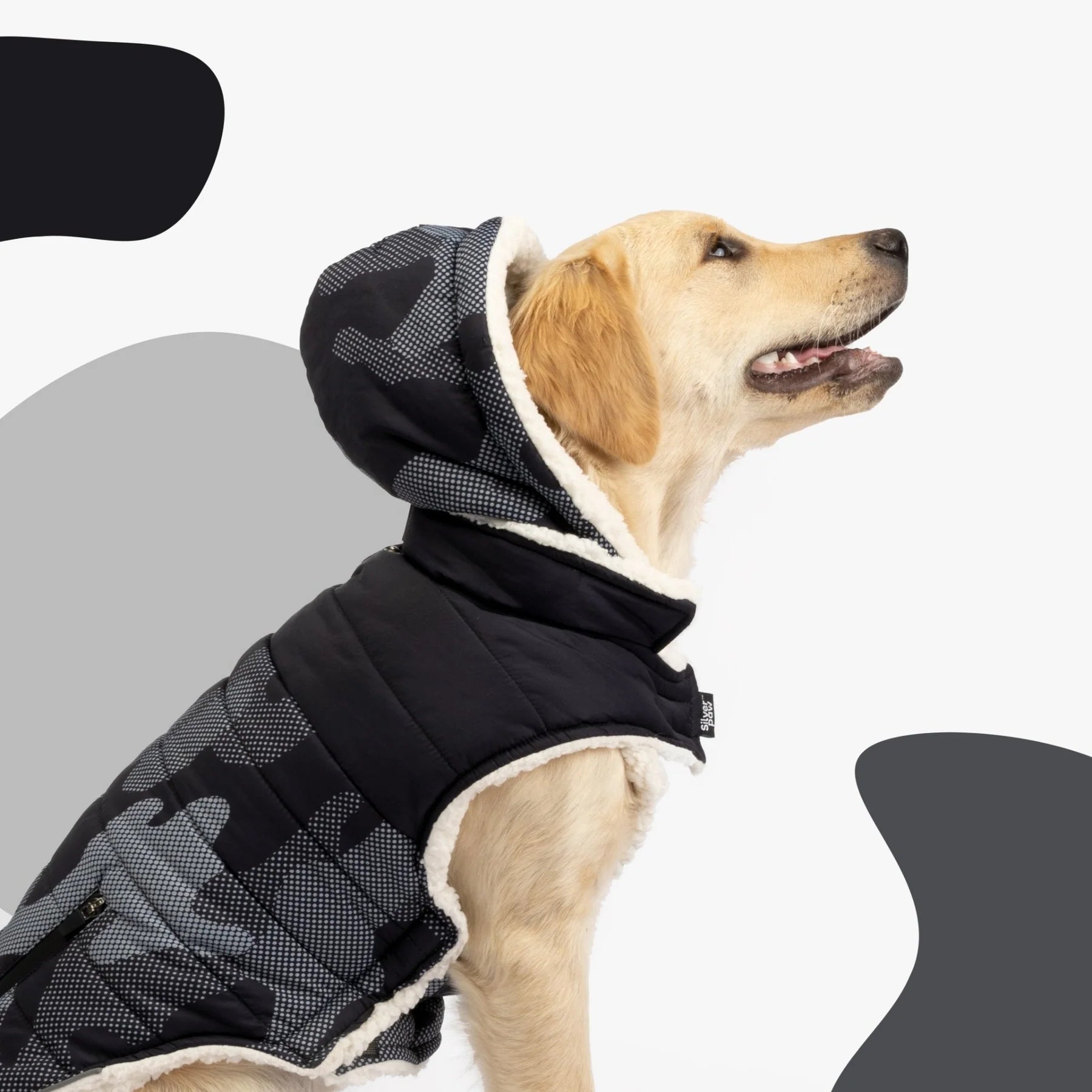 Dog Clothing & Accessories