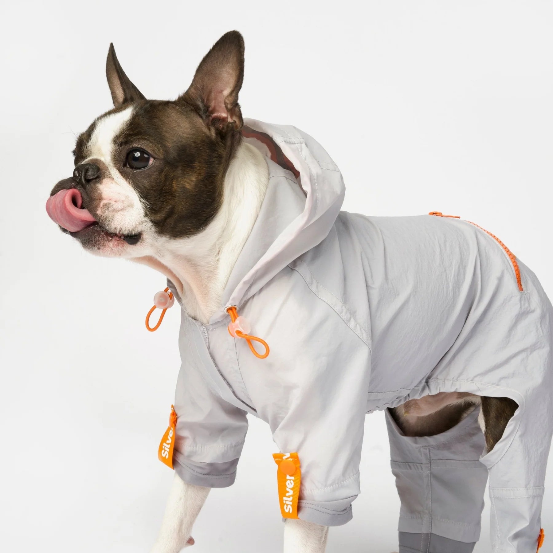 Dog Splash Suits