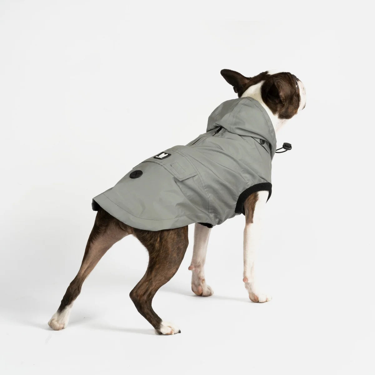 Dog Raincoats