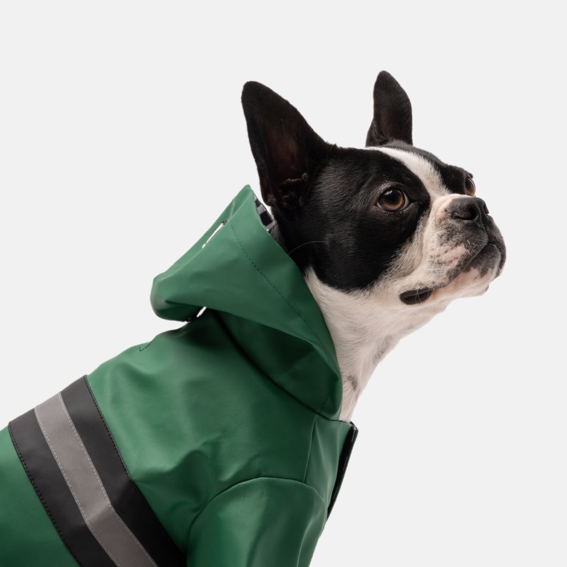 Aden Dog Raincoat Green