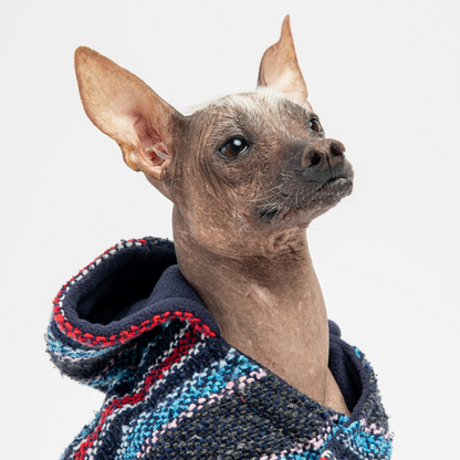 Baja Dog Poncho Hoodie Navy