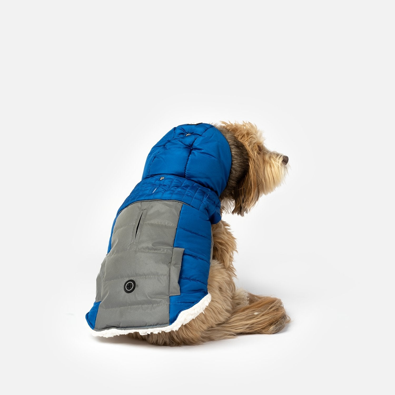 Bailey Dog Jacket Blue