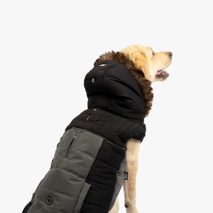 Bailey Dog Jacket Black