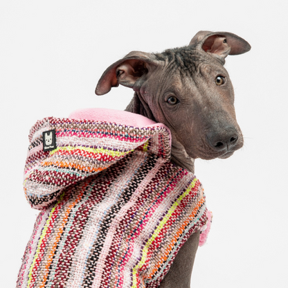 Baja Dog Poncho Hoodie Pink