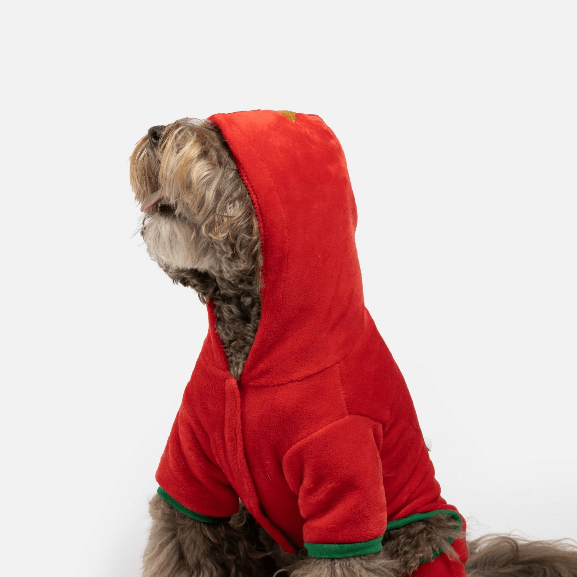 Christmas Tree Dog Pajama