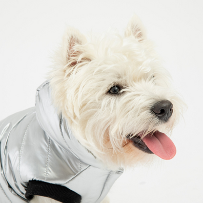 Emma Dog Jacket - Silver | Water-Resistant & Warm