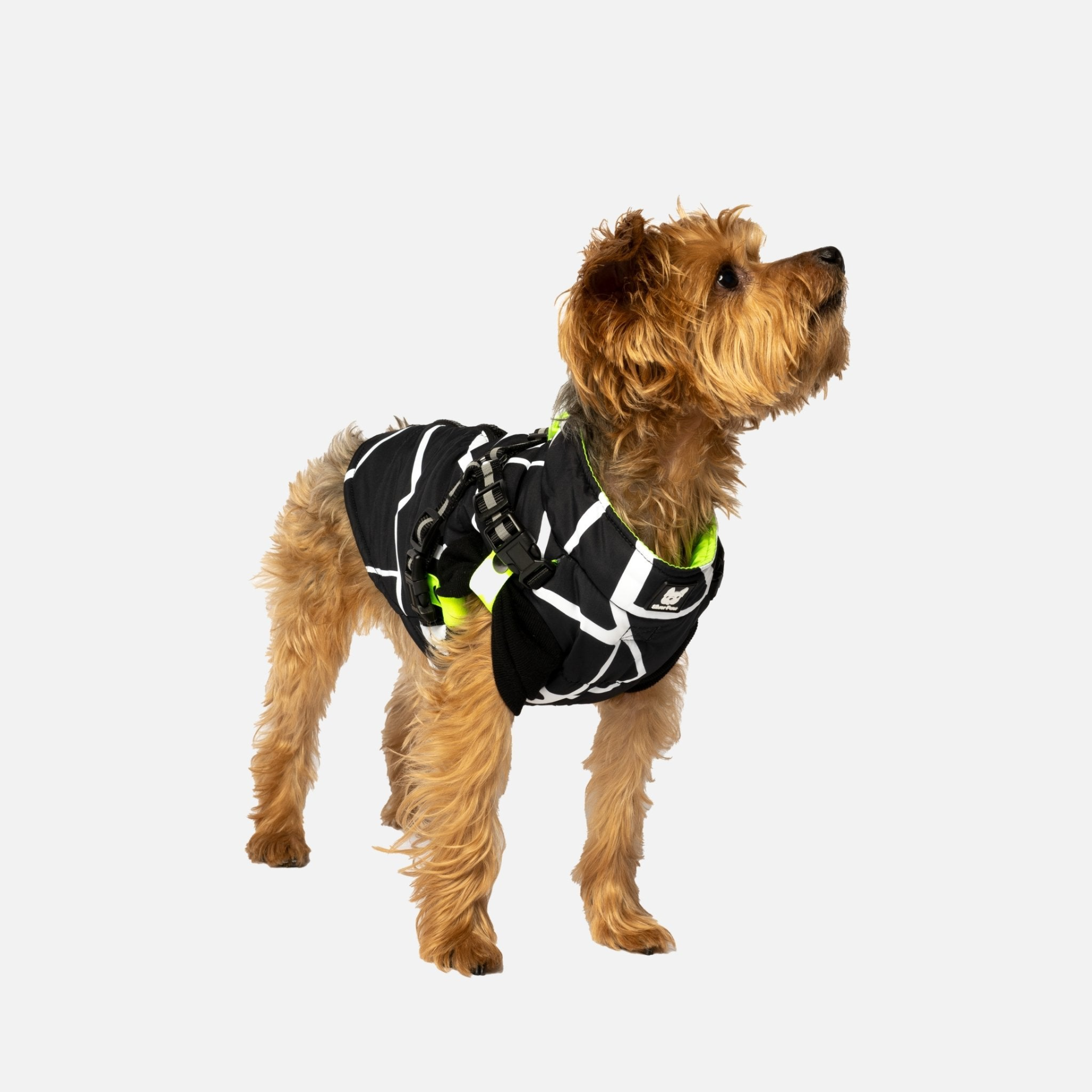 Fonda Dog Jacket 