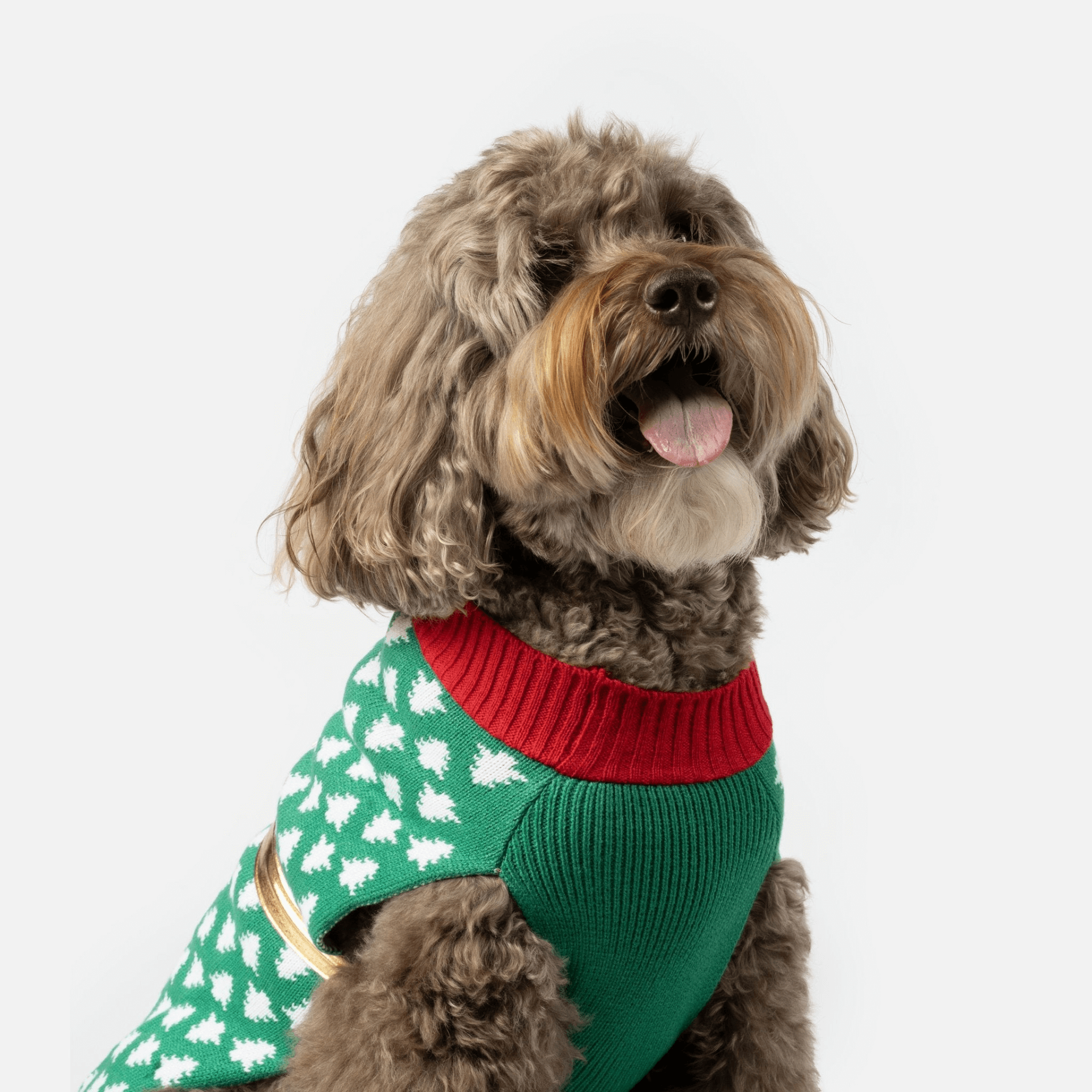 Xmas Gift Dog Sweater