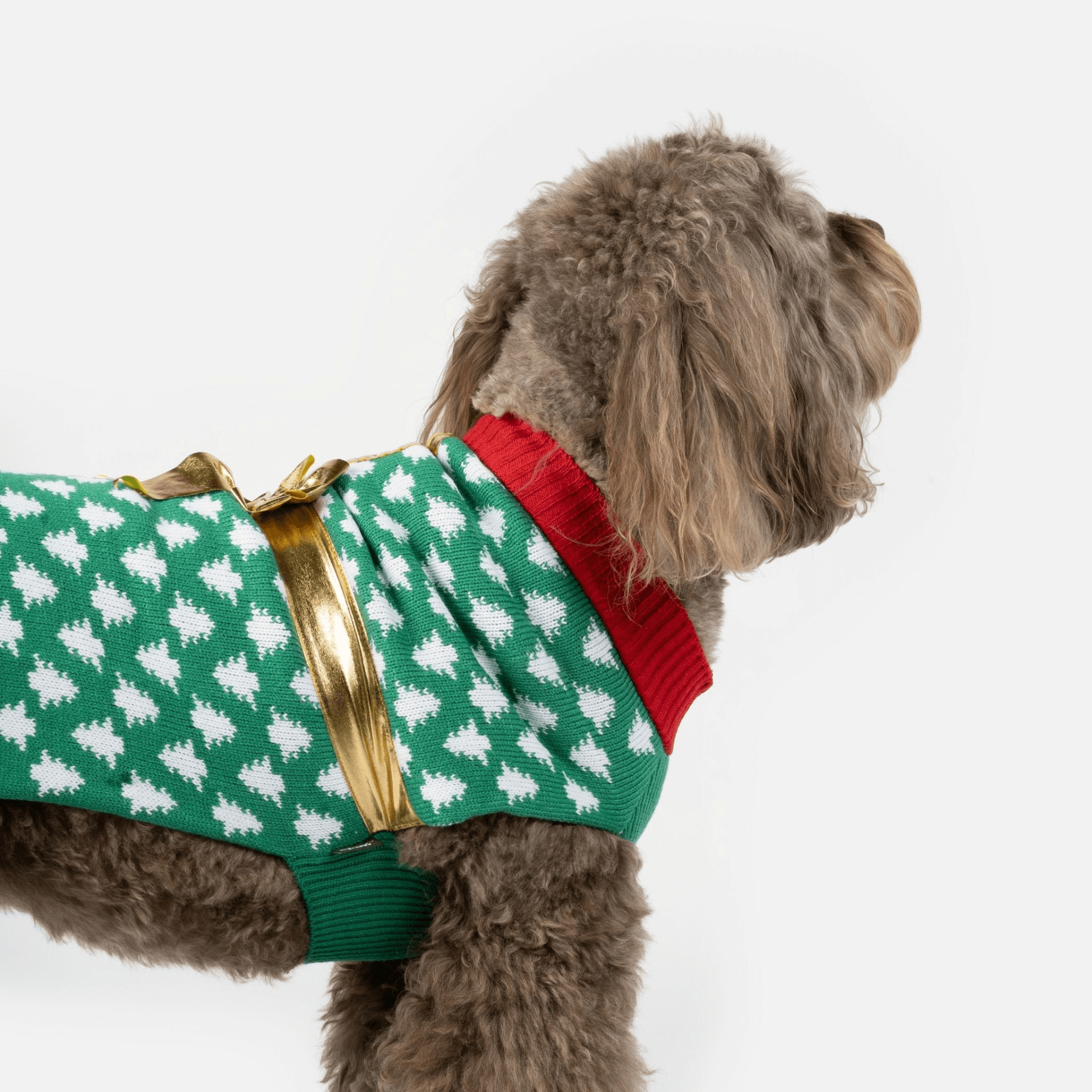 Xmas Gift Dog Sweater