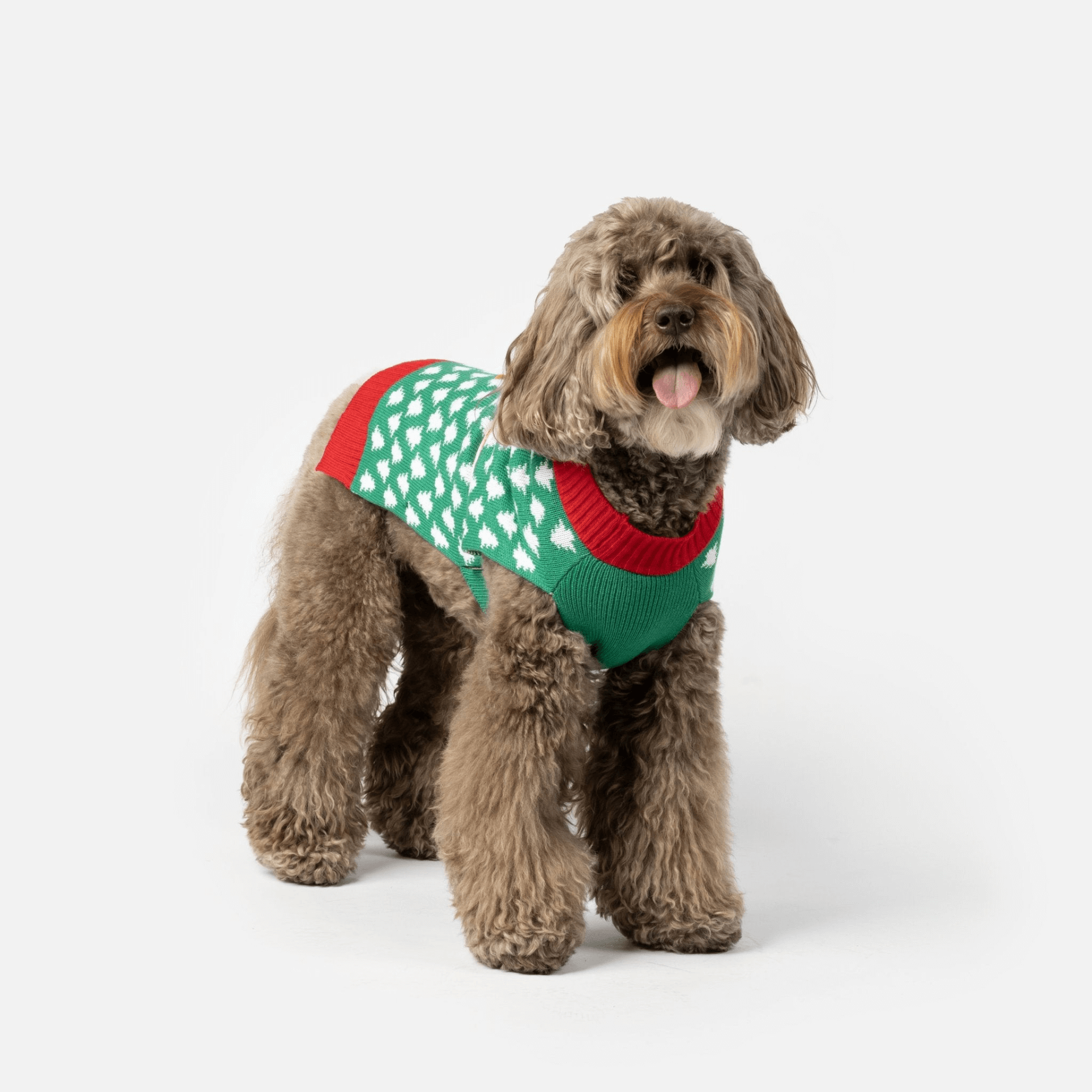 Xmas Gift Dog Sweater