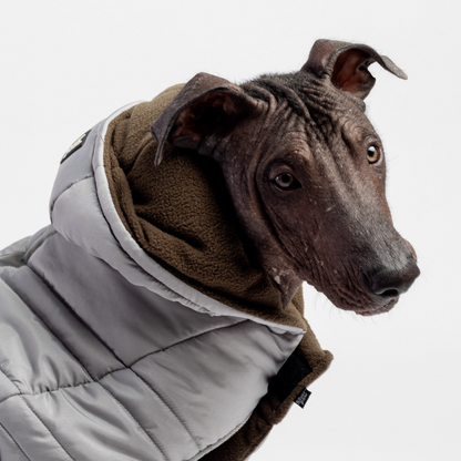 Jackson Dog Jacket Grey