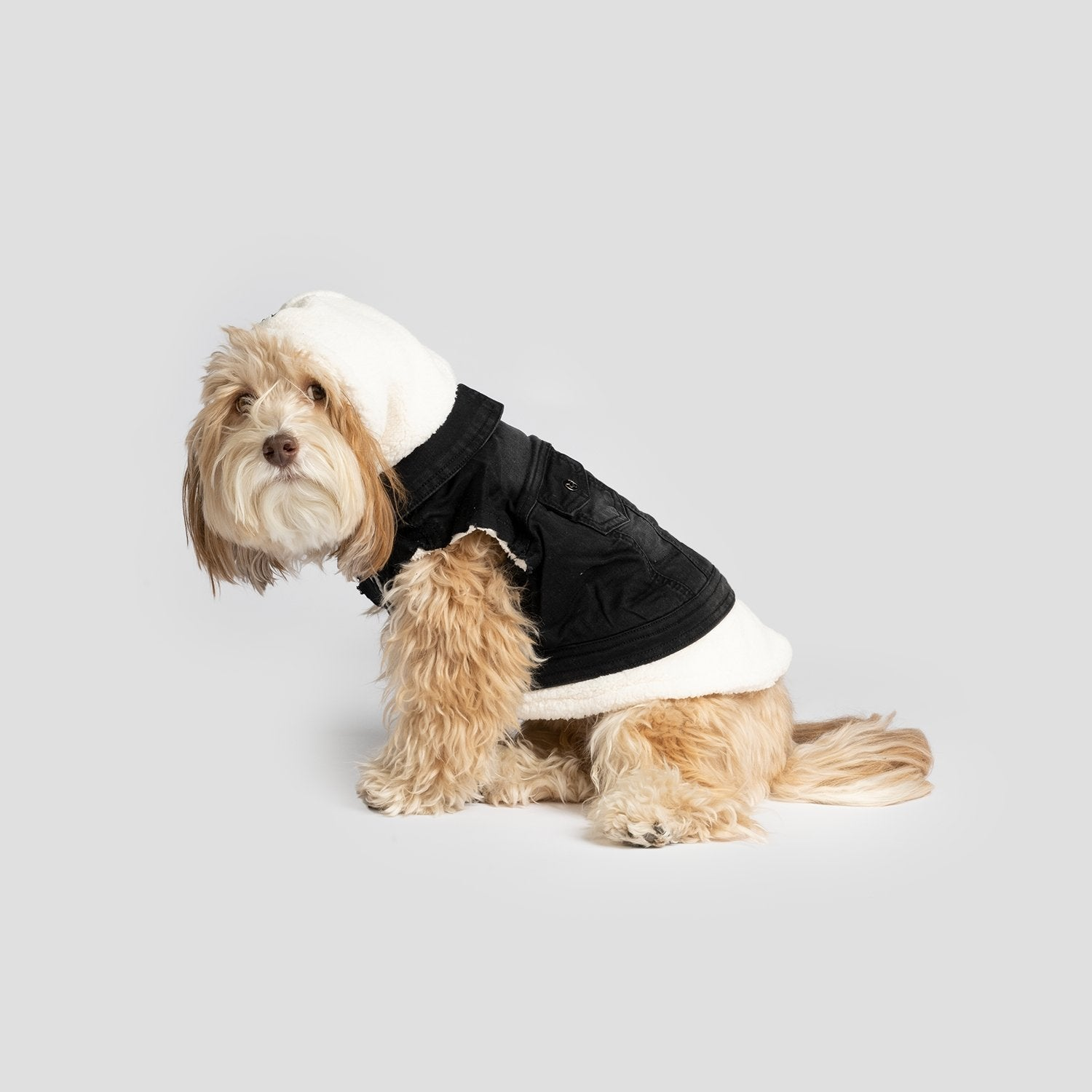 Justin Denim Dog Jacket Black