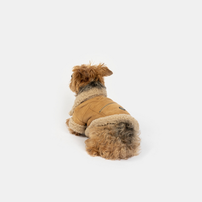 Millie Dog Jacket