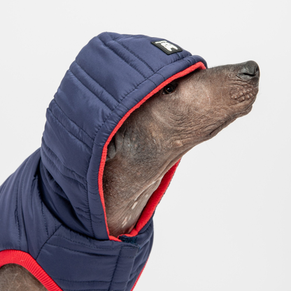 Noah Dog Jacket Blue