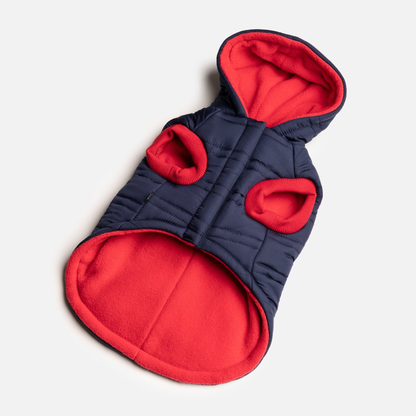 Noah Dog Jacket Blue