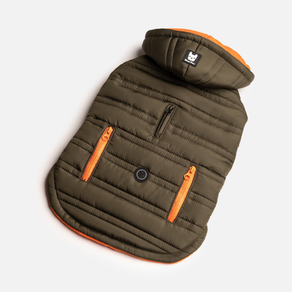 Noah Dog Jacket Cypress