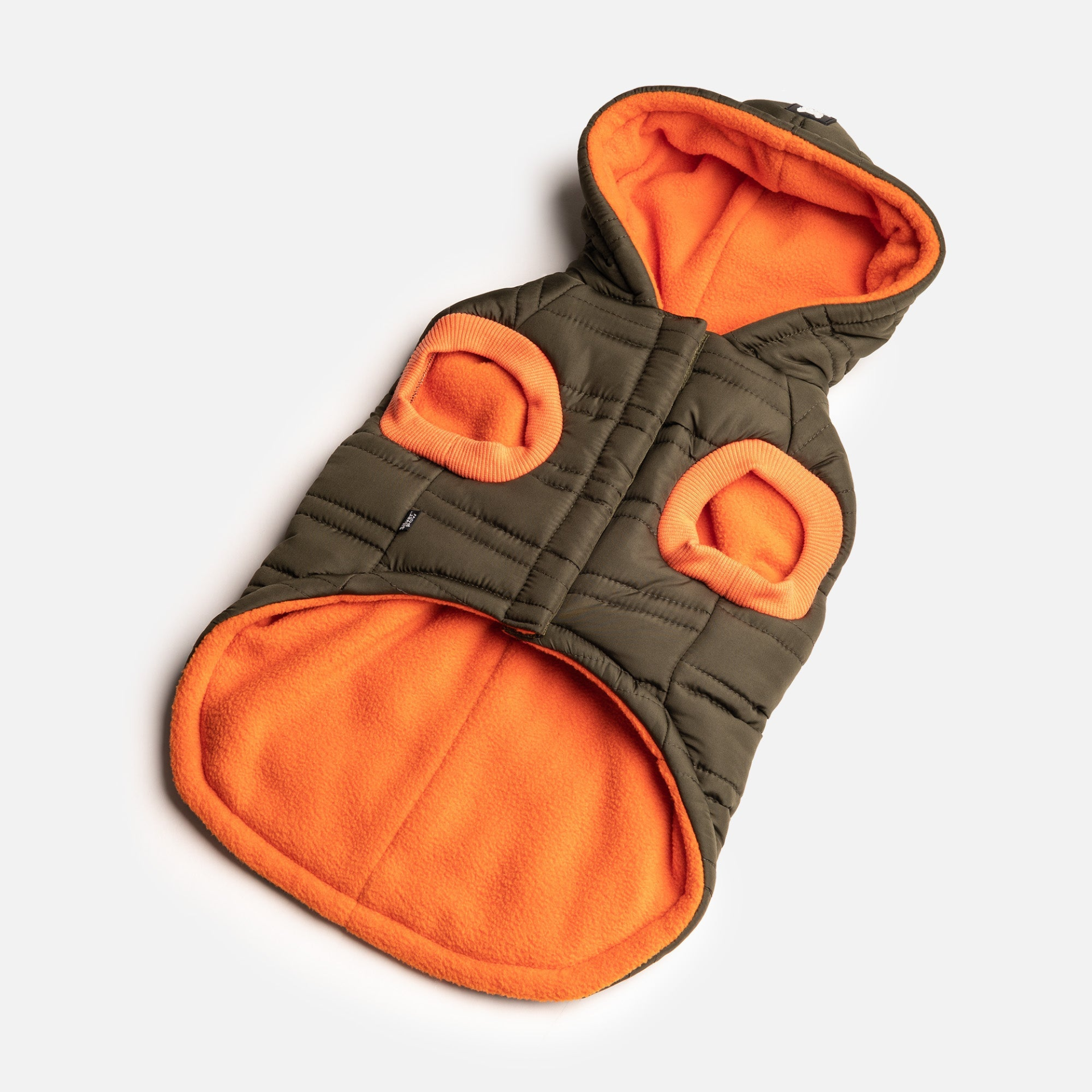 Noah Dog Jacket Cypress