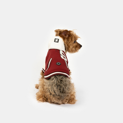 Otis Dog Letterman Jacket