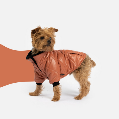 Phoenix Dog Jacket Terracotta