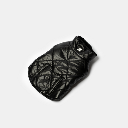 Phoenix Dog Jacket Black