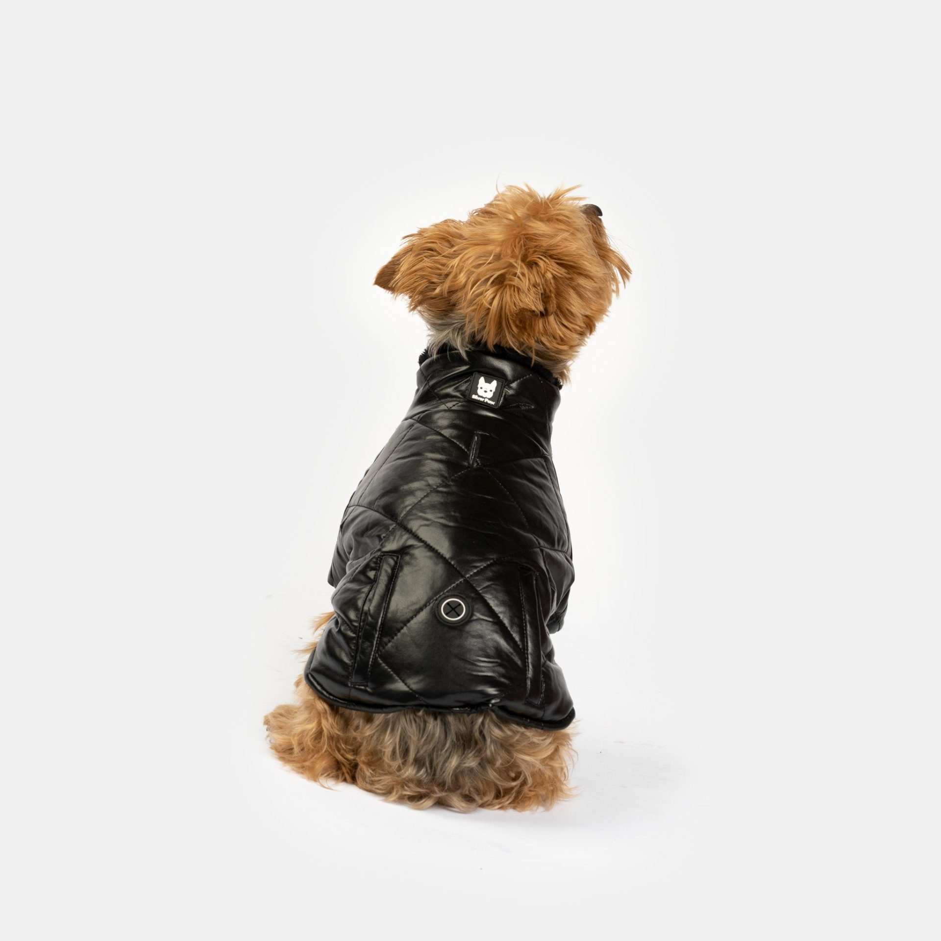 Phoenix Dog Jacket Black