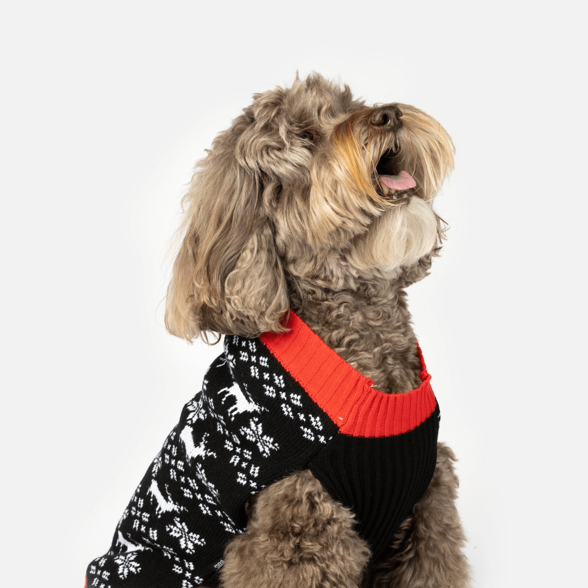 Reindeer Xmas Dog Sweater