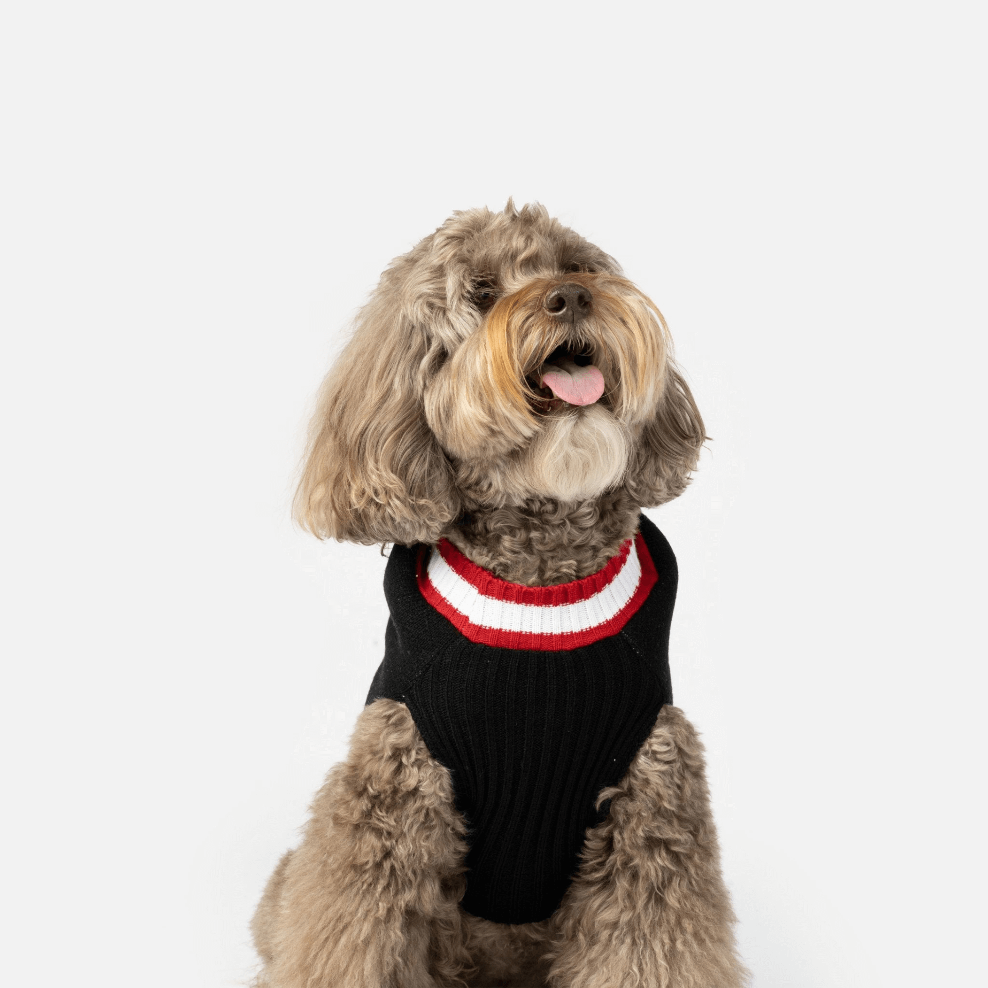 Wreath Xmas Dog Sweater