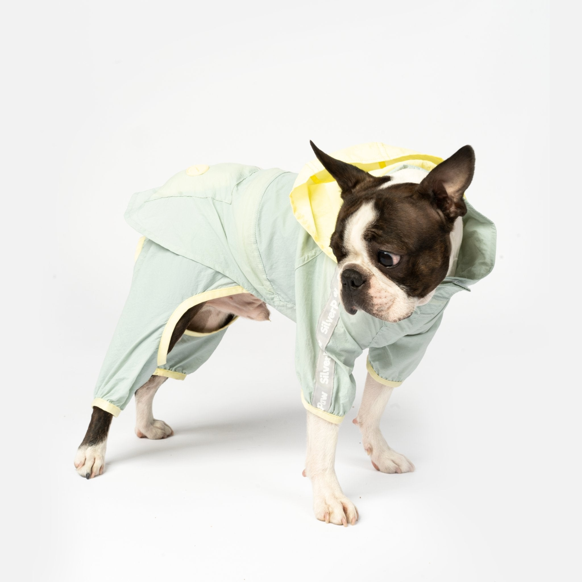 Bobbi 2 Piece Dog Splash Suit