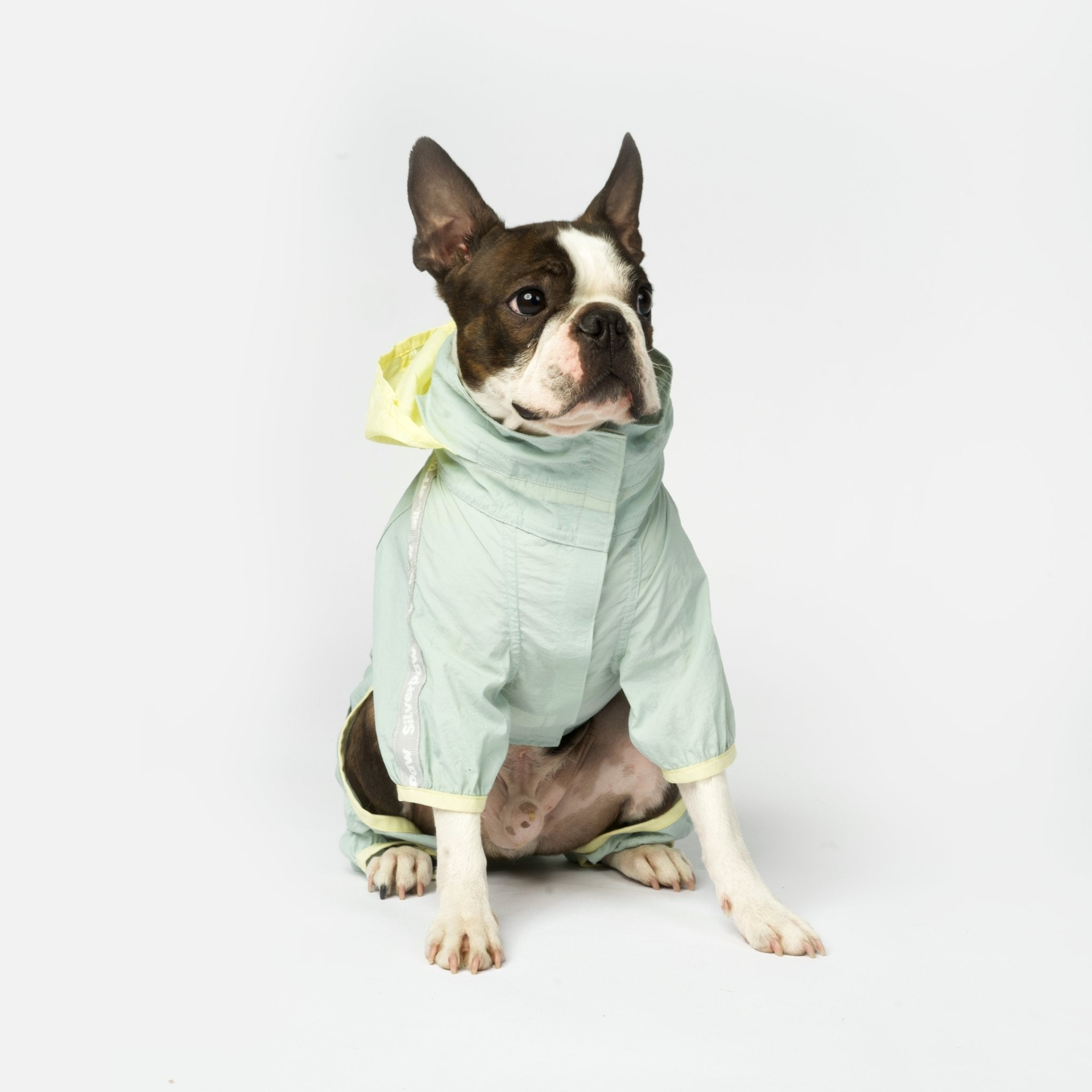 Bobbi 2 Piece Dog Splash Suit