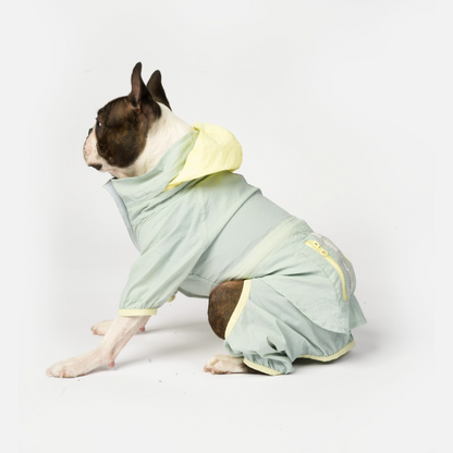 Bobbi 2 Piece Dog Splash Suit