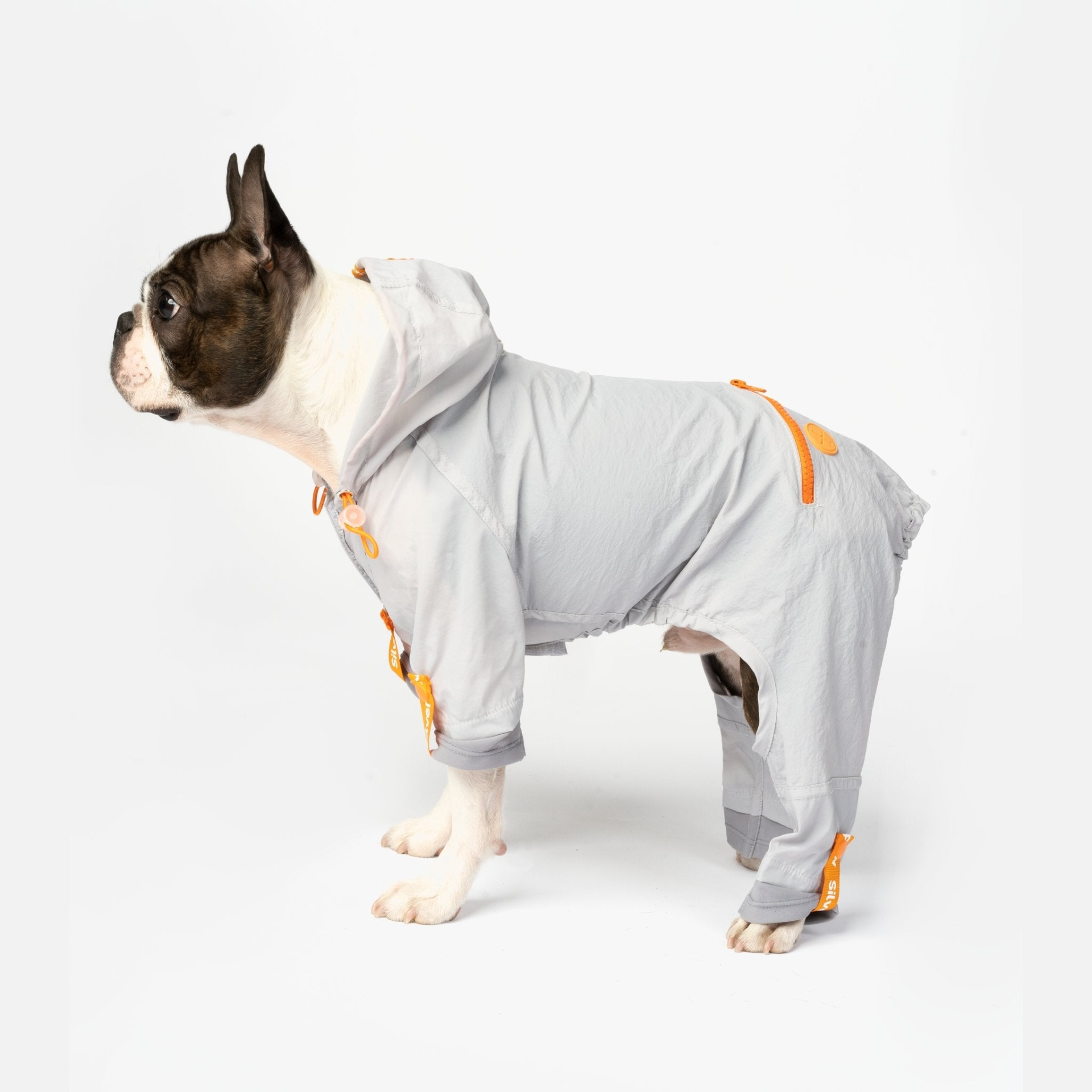 Sammy Dog Splash Suit