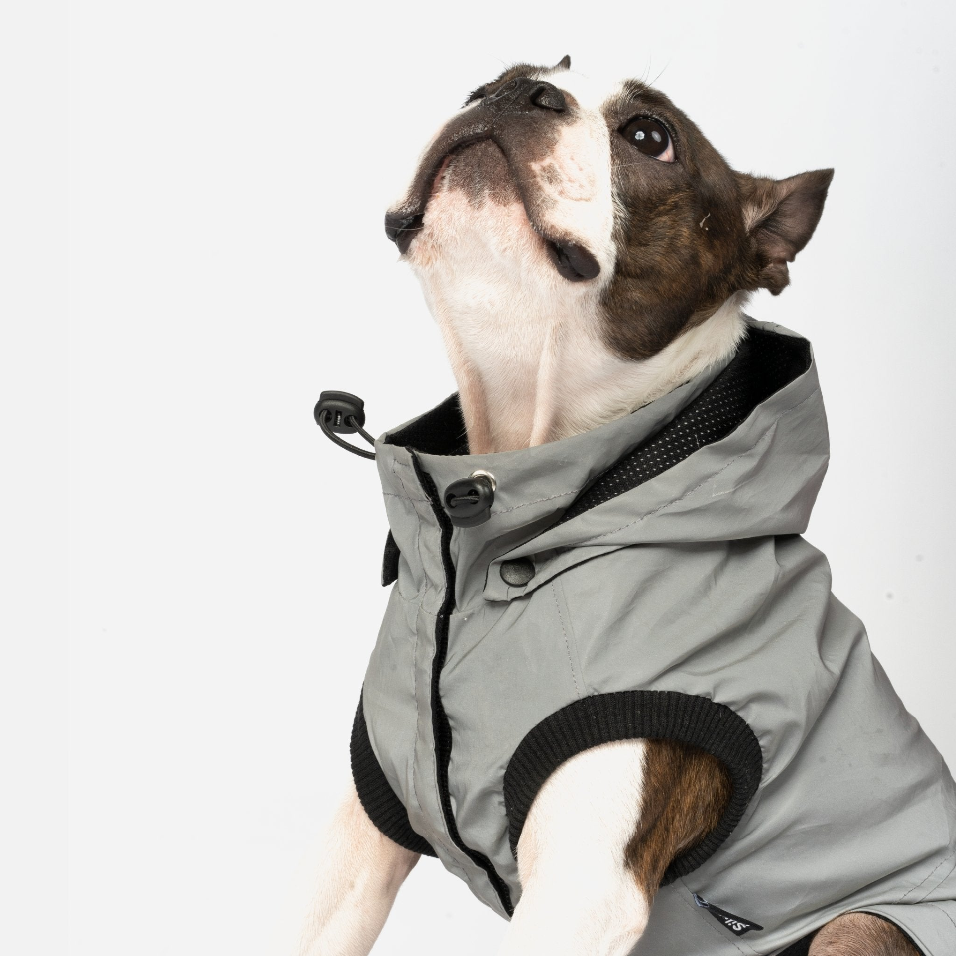 Max Reflective Dog Raincoat Grey