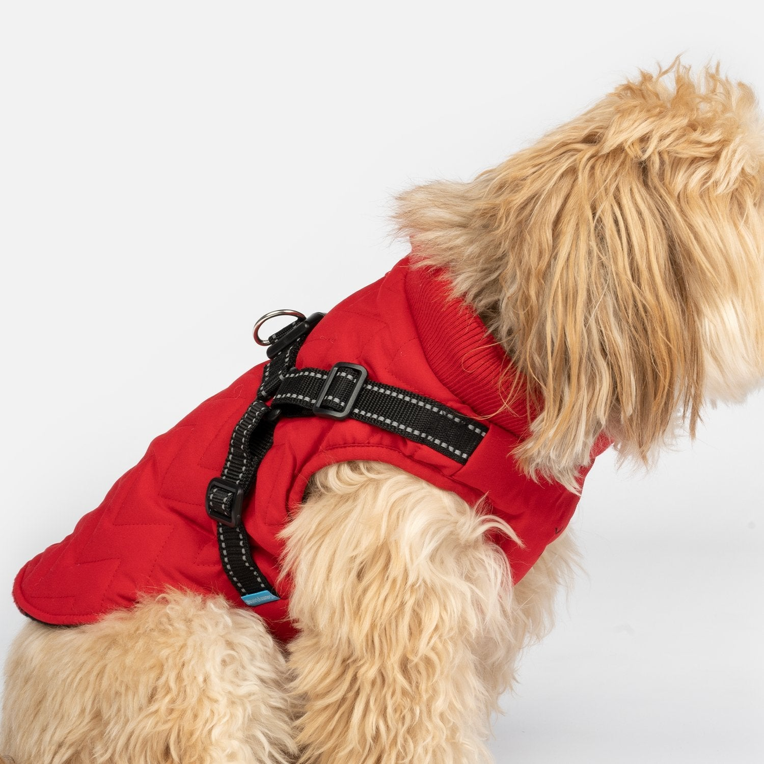 Quilted Dog Jacket With Built-In Harness Red