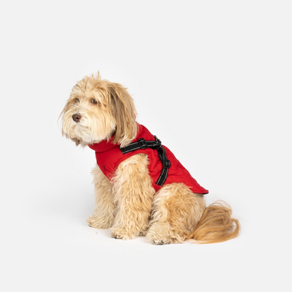 Quilted Dog Jacket With Built-In Harness Red