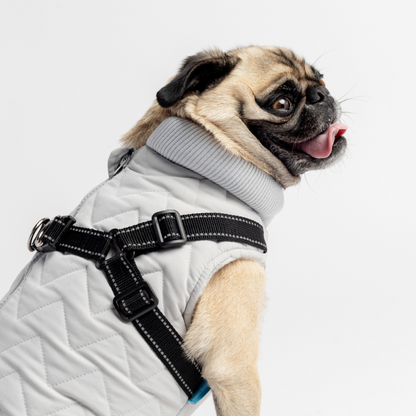 Quilted Dog Jacket With Built-In Harness Silver