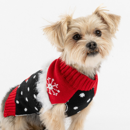 Xmas Stocking Dog Sweater