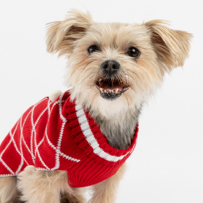 Xmas Gingerbread Dog Sweater