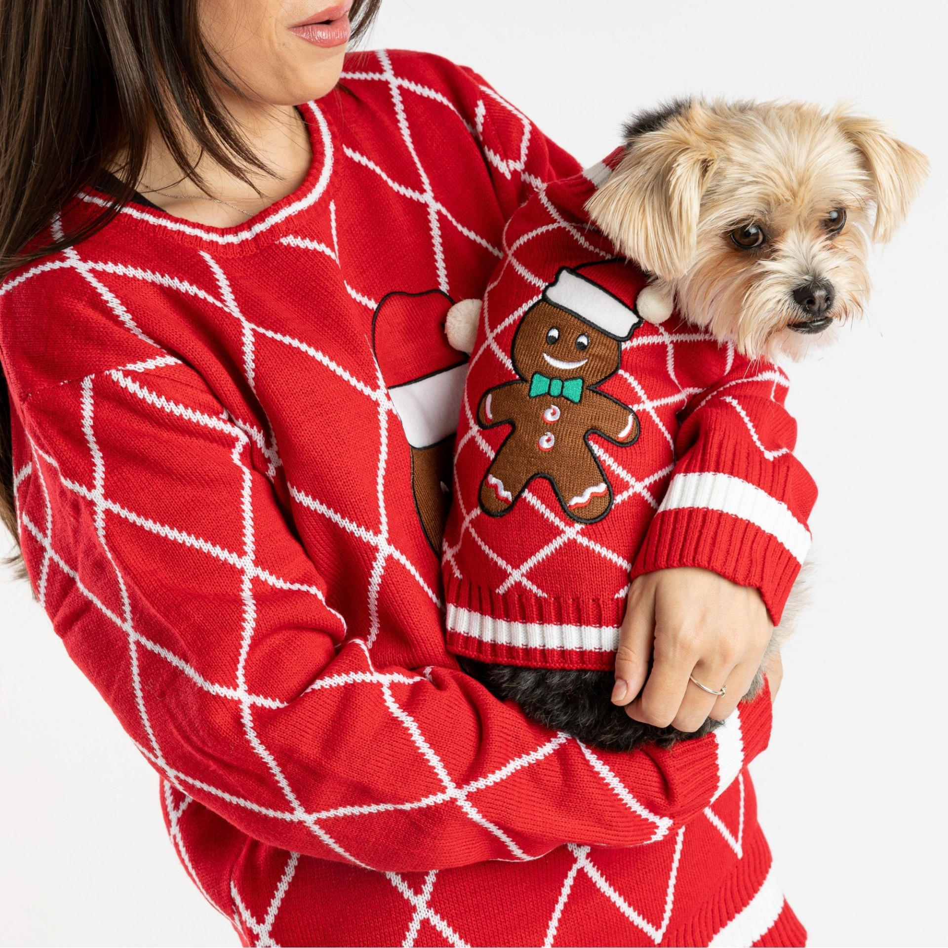 Xmas Gingerbread Dog Sweater